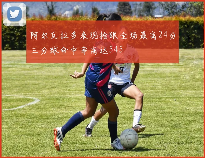 阿尔瓦拉多表现抢眼全场最高24分三分球命中率高达545
