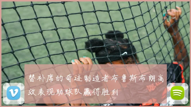 替补席的奇迹制造者布鲁斯布朗高效表现助球队赢得胜利