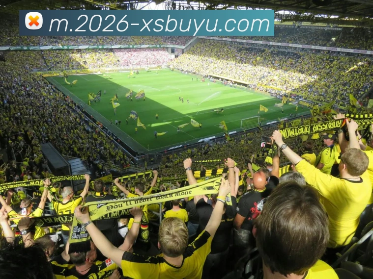 线上捕鱼平台APP 封面图